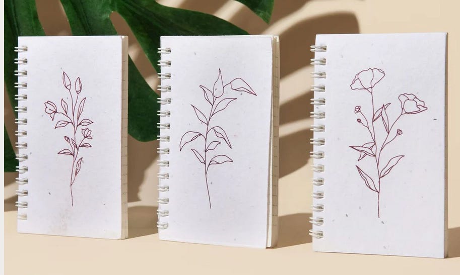 three seed notbooks with illustrations of plants