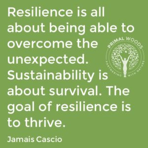 sutainability and resilience defined