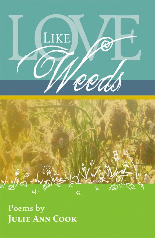 Love Like Weeds by Julie Ann Cook (cover)