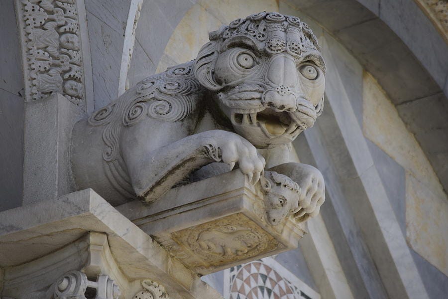 Medieval Lion of Pisa Photograph by George Stellingwerf | Fine Art America