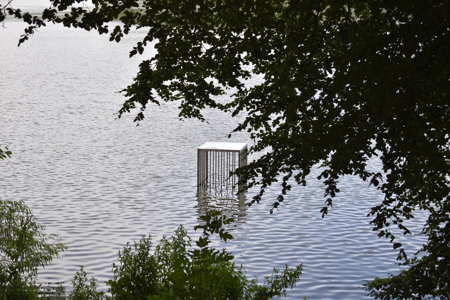 Silver square cage partially submerged in water with green trees above