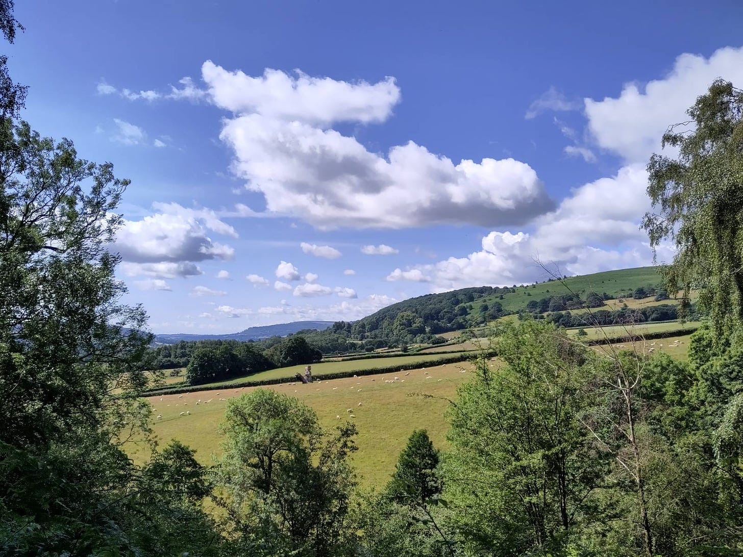 A view from one of our many walks in the Welsh countryside.