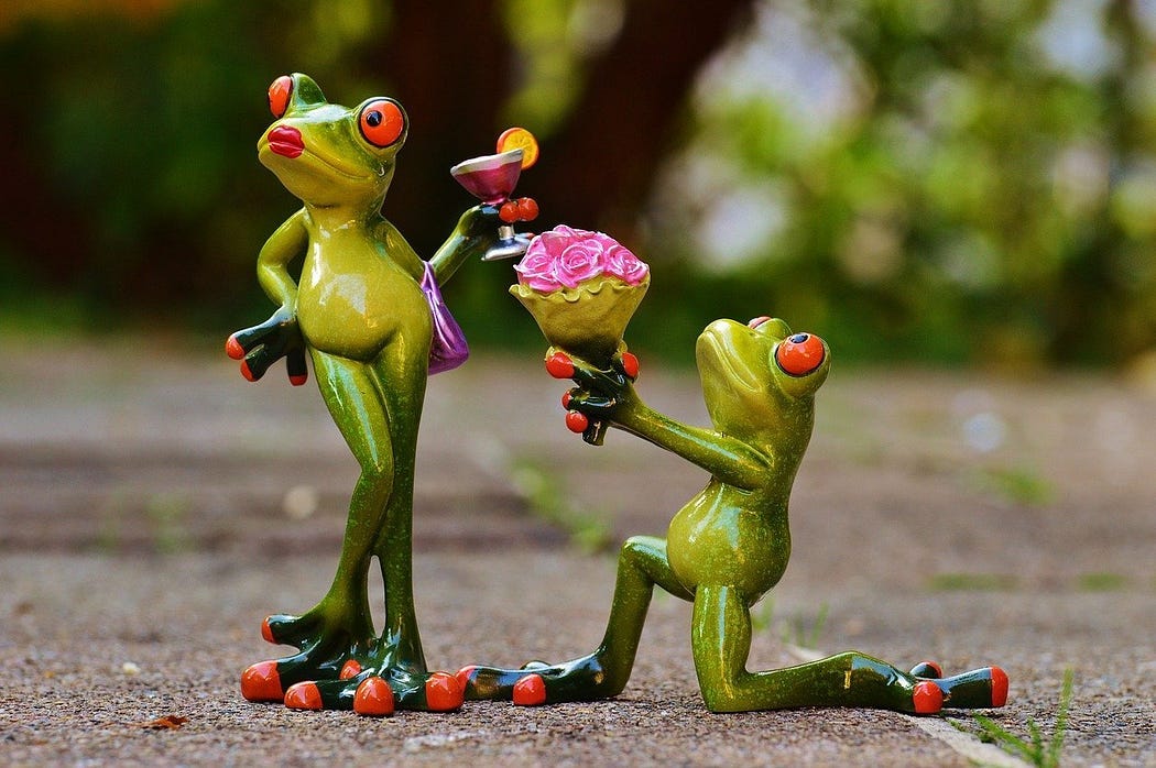 Frog is asking for forgiveness