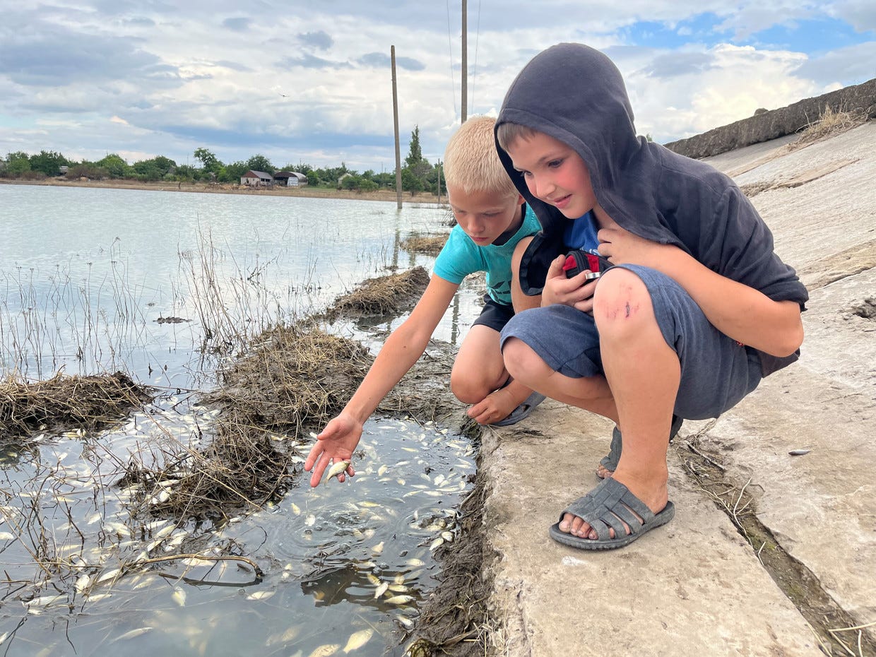 Stasik (10) en Maksym (8) bij de dode karpertjes in de visvijver in Afanasiivka, provincie Mykolajiv. De Inhoelets rivier is ernstig vervuild. Beeld Michiel Driebergen