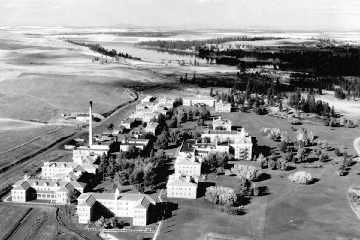 An old black and white photo from high up shows pristine white buildings that look like some kind of institution, intermingled with trees.