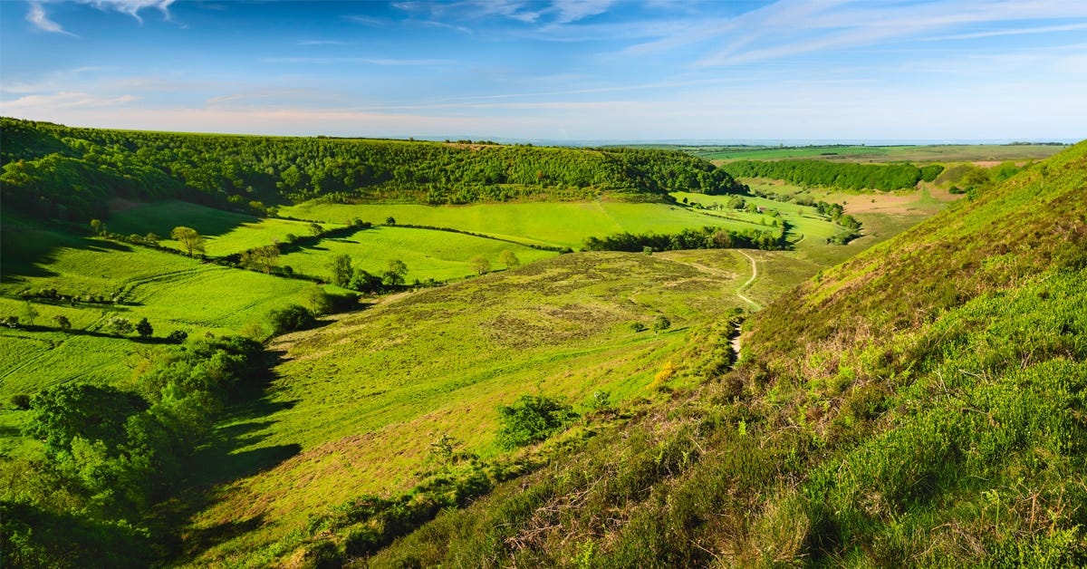 Scenic view of a valley with fields, scrub, hedges and a blue summer sky. It's a view of the Hole of Horcum.