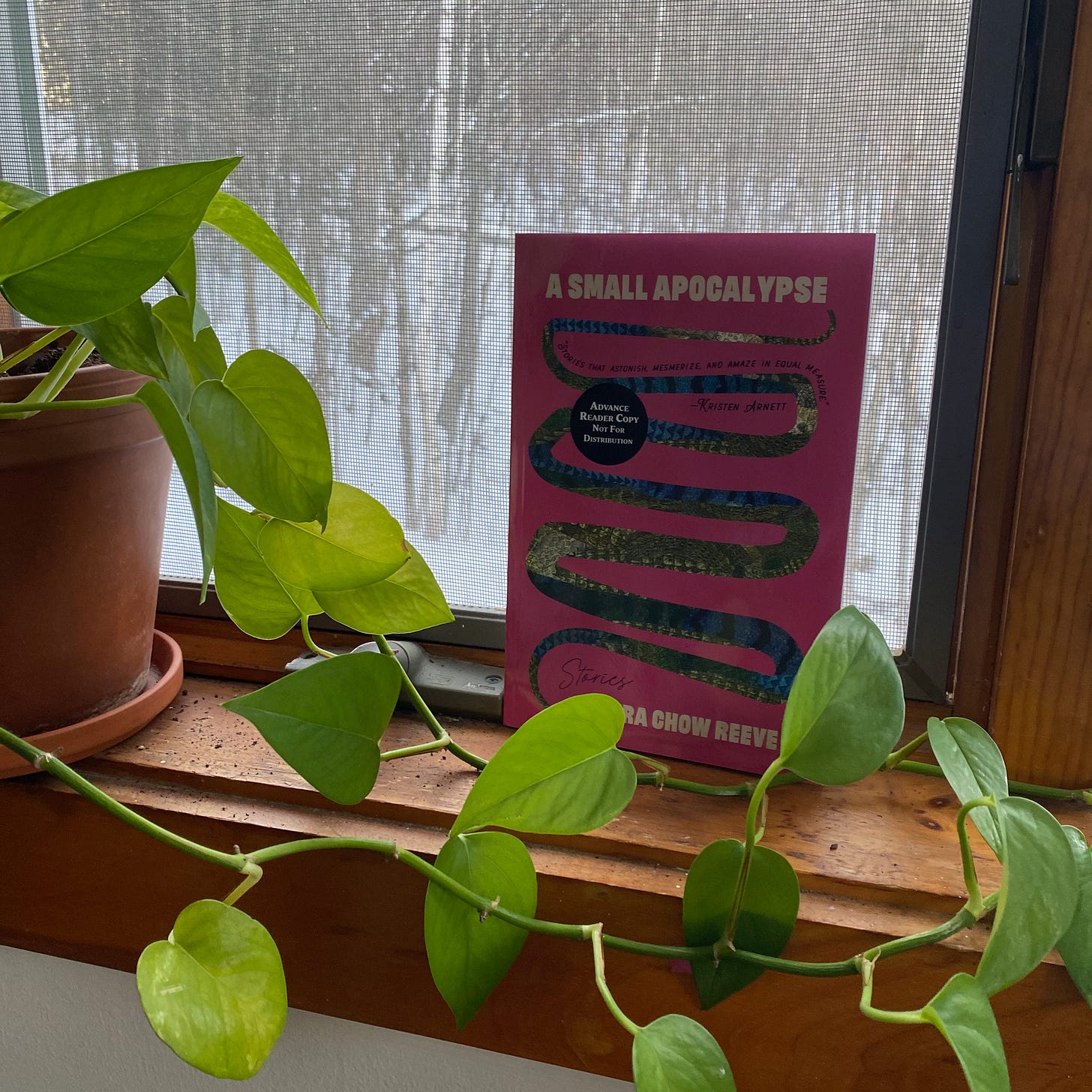 This book propped on a windowsill next to a viney plant.