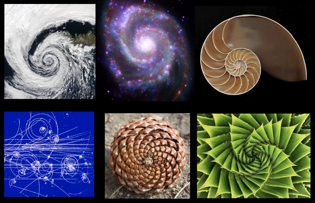 A series of images of spirals found in nature (a storm, a galaxy, a shell, and an acorn among others) that illustrated the Golden Spiral/Ratio.