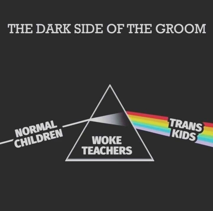 May be a graphic of text that says 'THE DARK SIDE OF THE GROOM CHILDREN NOLDRE NORMAL WOKE TEACHERS TRANS KIDS'
