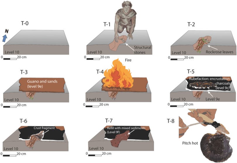 Fig. 6
