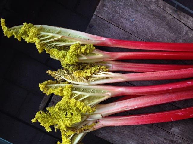 Saffron Strands: Rhubarb Triangle