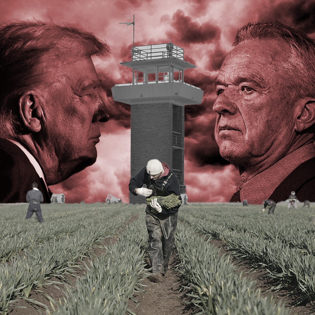 A dystopian digital collage depicts Donald Trump and Robert F. Kennedy Jr. in red tones, staring each other down across a dark agricultural field under stormy red skies. Between them stands a towering prison watchtower. In the foreground, a figure in muted colors, hunched over and holding a bundle of harvested crops, walks toward the viewer. Scattered laborers work in the field, evoking a sense of forced or surveilled labor. The overall tone is oppressive and authoritarian, suggesting themes of control, punishment, and exploitation in the guise of reform.