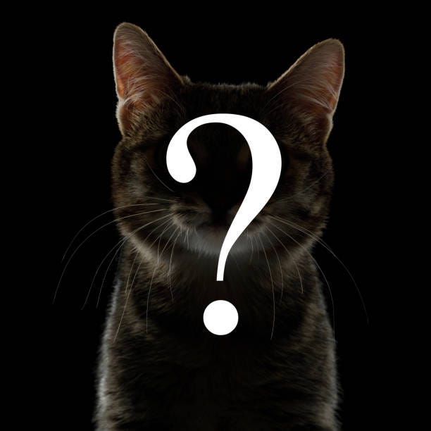 470+ Question Mark Cat Stock Photos, Pictures & Royalty-Free ...