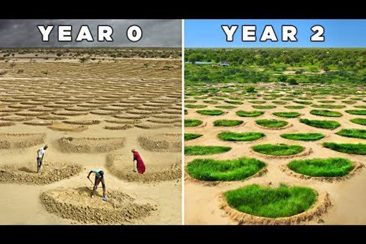 side by side image of half moon pits in the desert and the pits filled with vegetation side by side image of half moon pits in the desert and the pits filled with vegetation