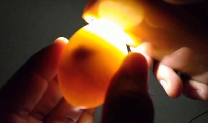 candling an egg