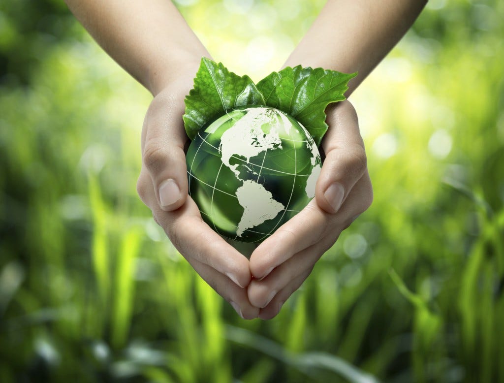 Sustainability: what is it? - Starting from the environmental field.