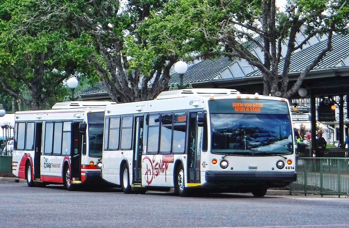 Disney World buses at bus stop