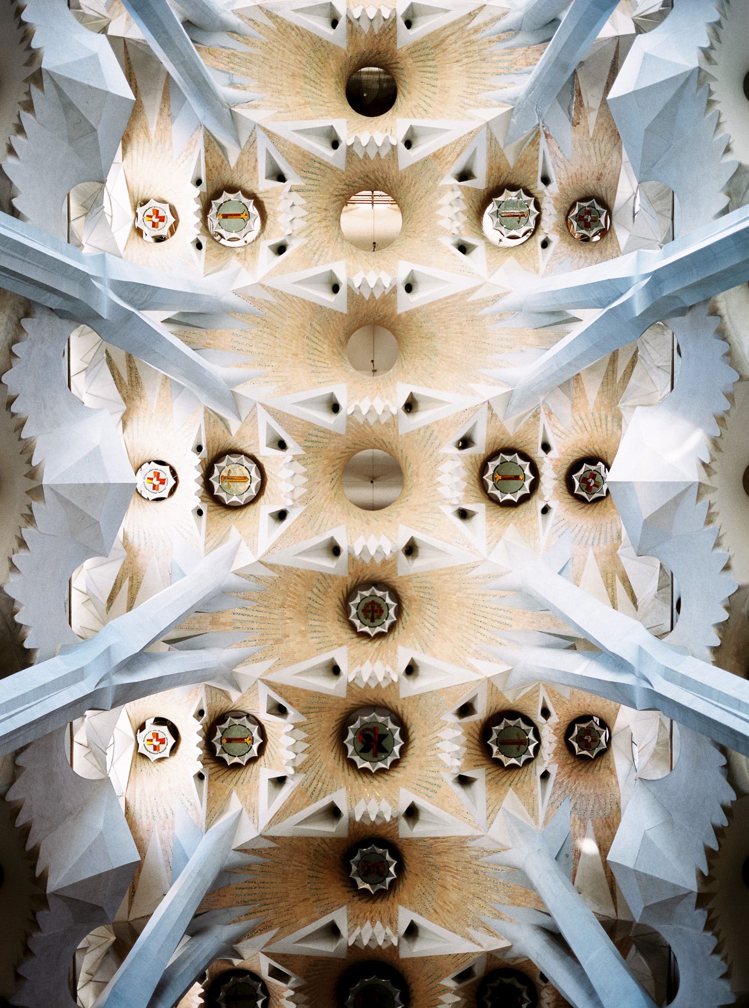 Photo of the Sagrada Familia's ceiling