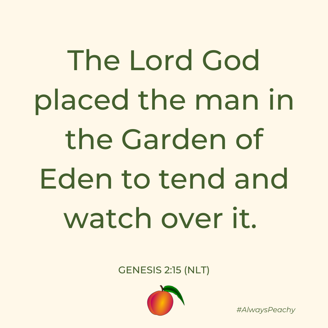 The Lord God placed the man in the Garden of Eden to tend and watch over it. (Genesis 2:15)