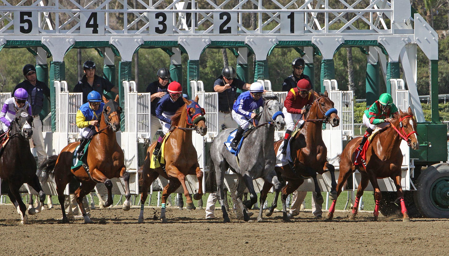 Horse Racing Terms | SportsEngine