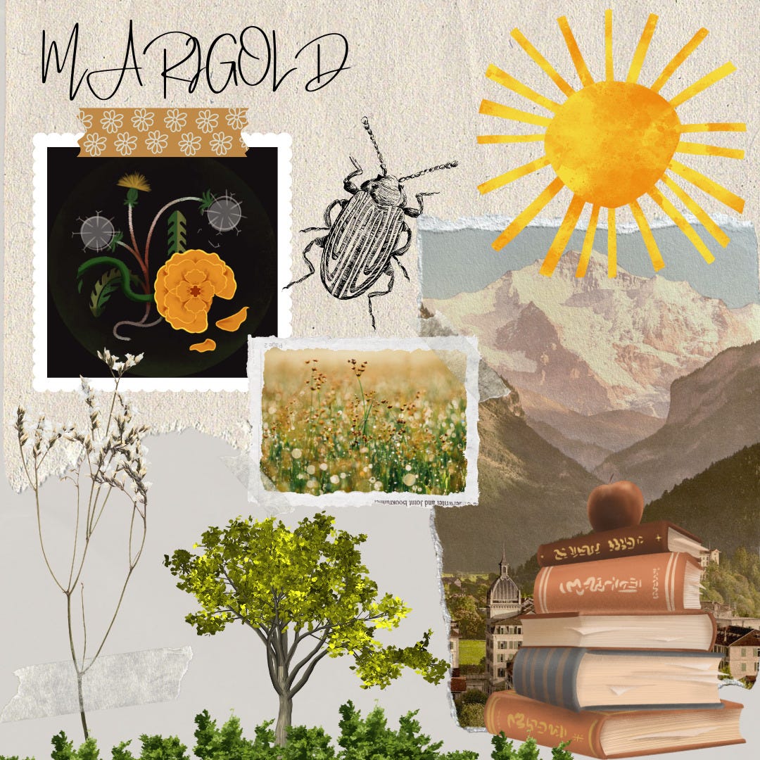 A moodboard on a warm paper-like background. In the top right corner there is an illustration hung up with yellow flower tape. The illustration has a black background with dandelions and a marigold on top. Next to the illustration there is art of a bug, and next to that there is a simple drawing of a sun. Underneath the sun there is a picture of mountains, and underneath that there is a pile of books. In the middle there is a slip of paper with a picture of flowers on it. Underneath there is a tree, and in the bottom left there is a branch with flowers.
