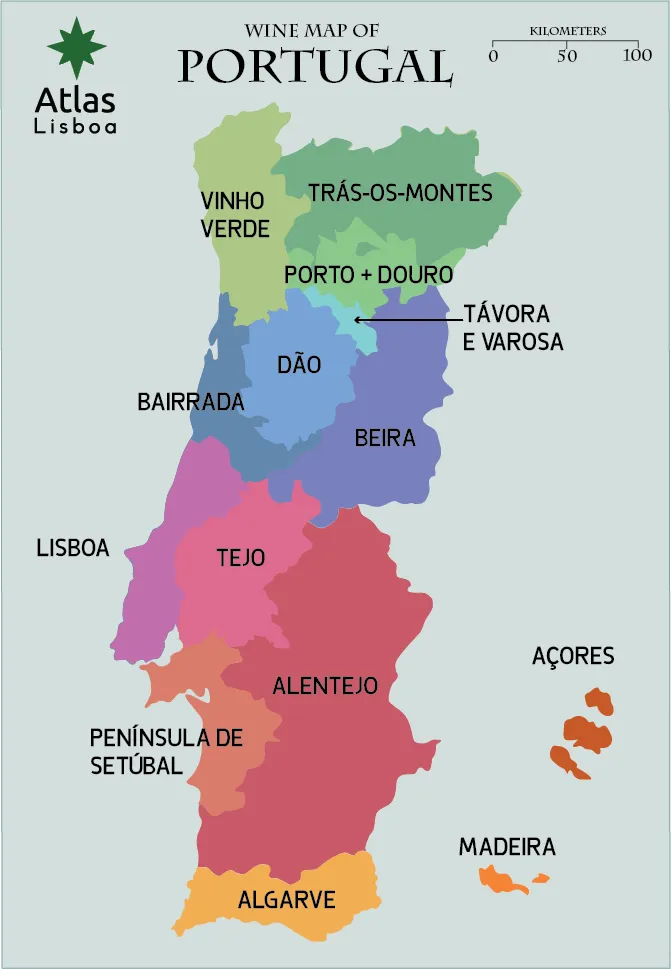 portugal wine regions, madeira wine, dao wine region, algarve wine region, alentejo wine region, lisbon wine region, vinho verde wine region, douro valley - Discover the best wine regions in Portugal - 2024 - 3