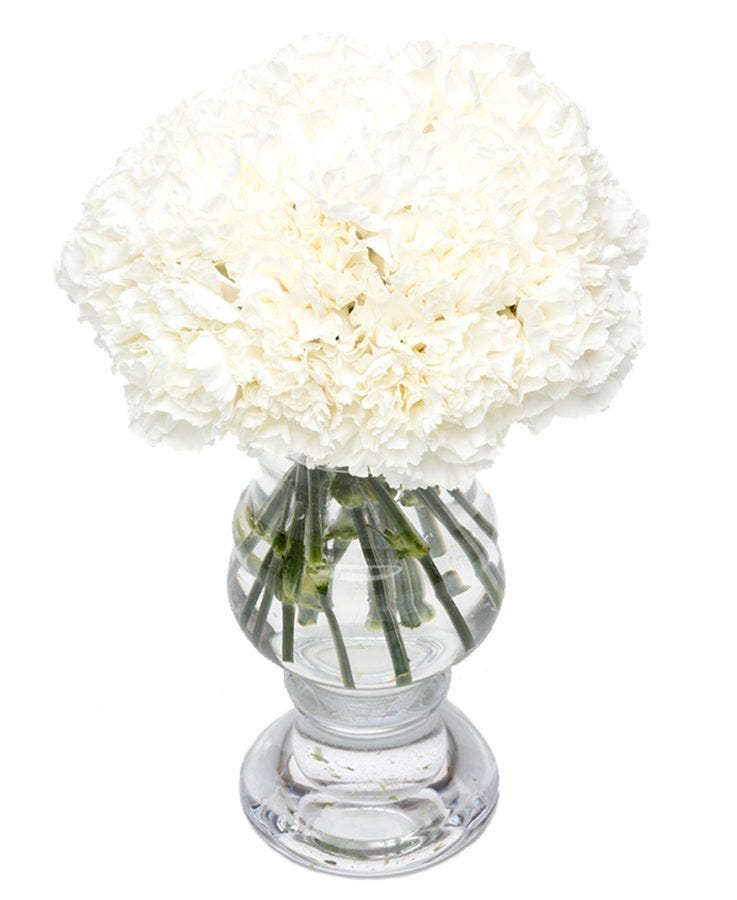 Fortnightly Subscription Flower Delivery Service - White Carnations Flowers Delivered