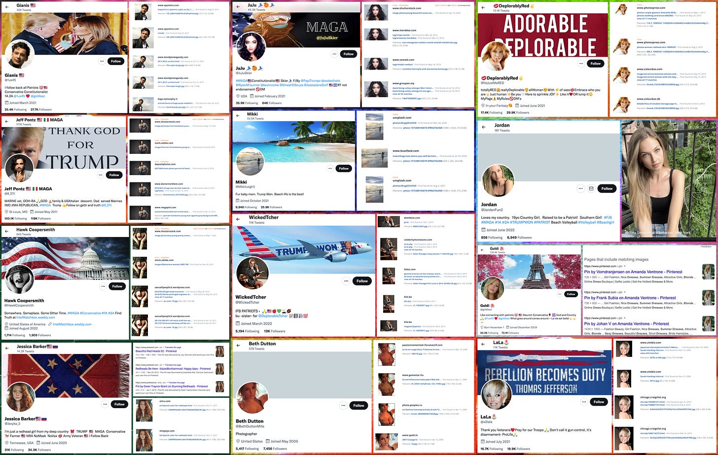 screenshots of 12 MAGA Twitter accounts, and reverse image searches demonstrating the images are plagiarized