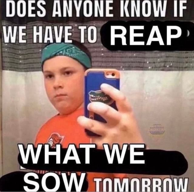 DOES ANYONE KNOW IF WE TO REAP SOW ltnneenw - iFunny