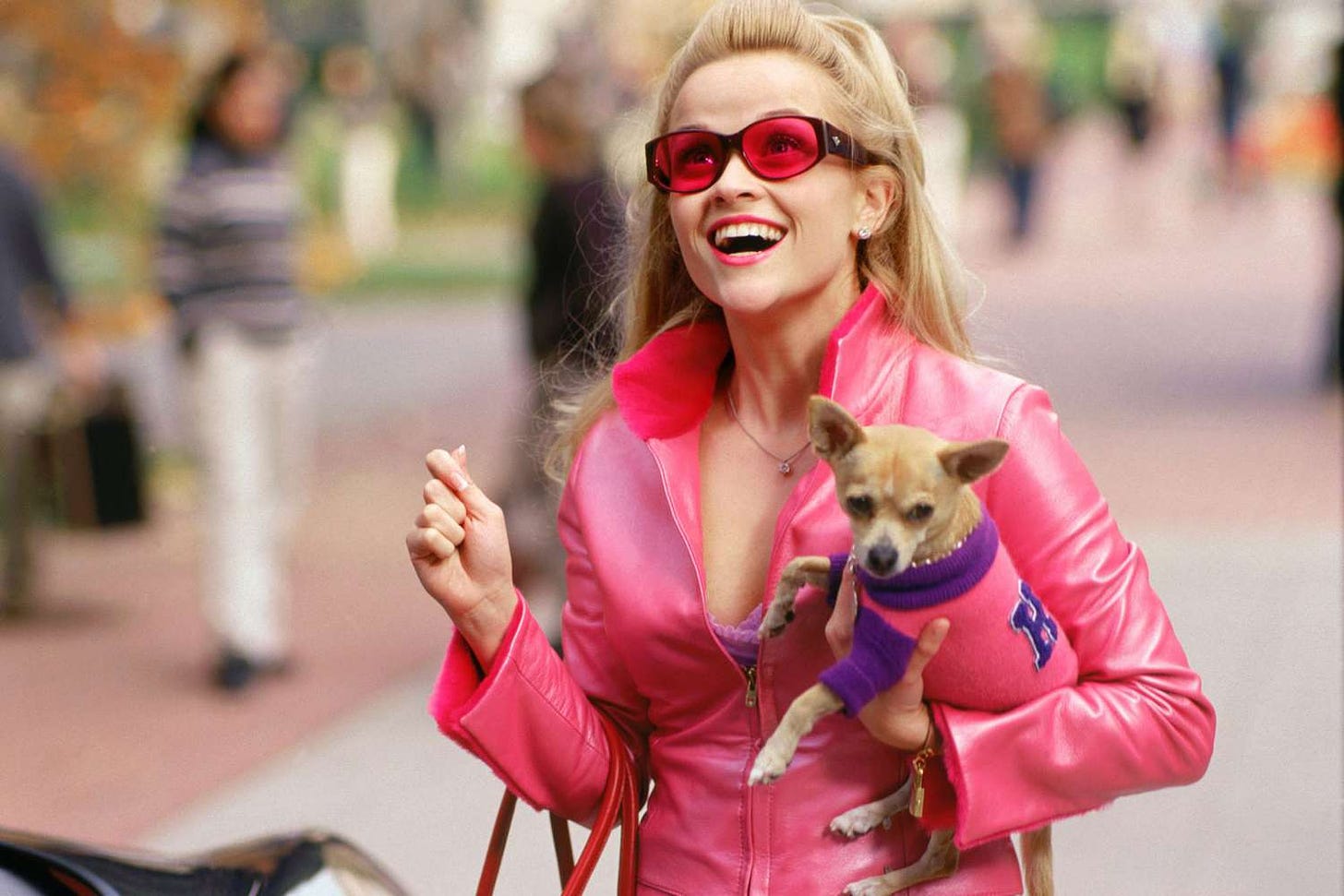 Reese Witherspoon Legally Blonde pink dog