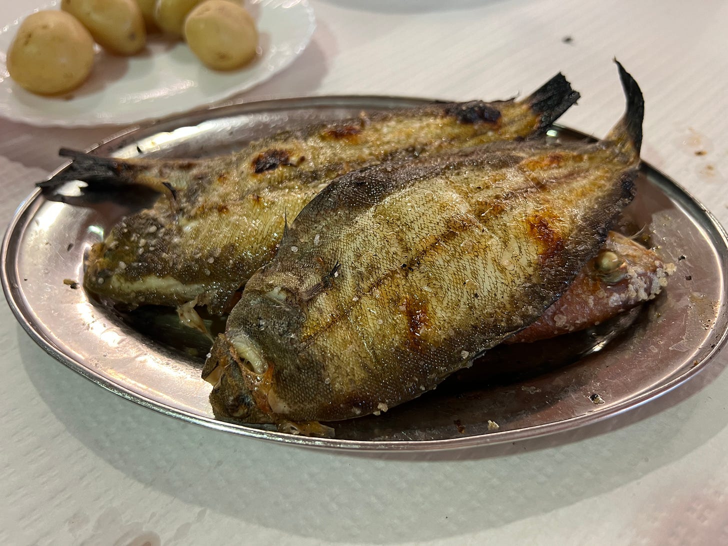Dois peixes acabados de cozinhar numa travessa
