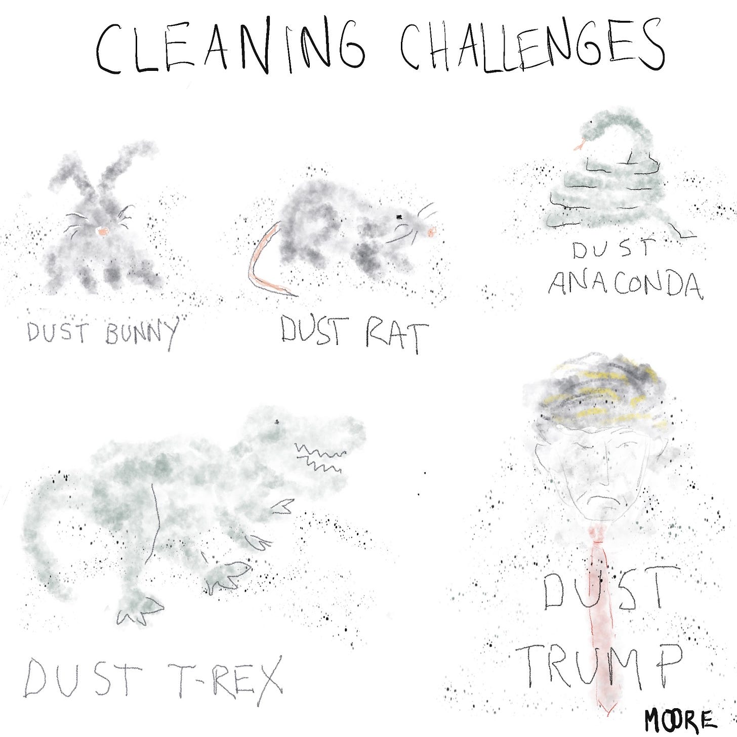 Dust bunnies