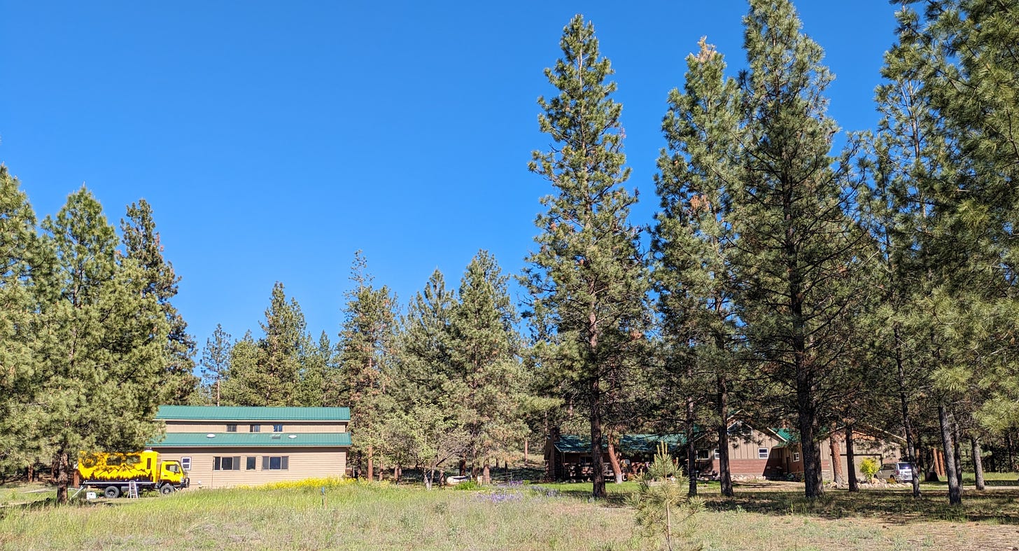 left to right, yellow truck, a woodshop building, and a large house on a wooded property with pine trees and blue sky