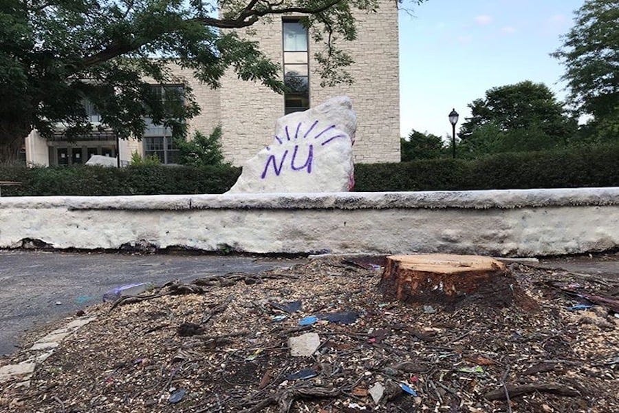 The Rock that once said “While Silence Kills” has the same white background, but this time with NU in purple painted where those words in black used to be. The tree that once held the names of students that died while attending Northwestern had been chopped down to a stump.