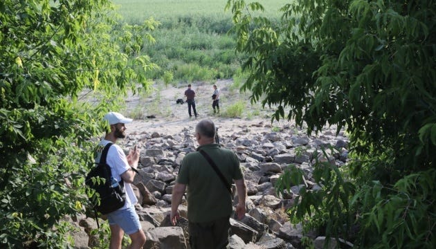 Дно Каховського моря перетворюється на ліс