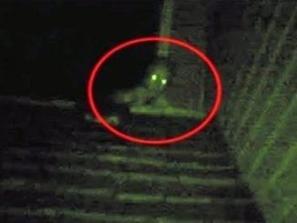 Crawler Caught on Roof