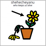 prayer symbol for shehecheyanu, which shows a flower pot with one old wilting flower and one new one, with an arrow pointing to the new flower