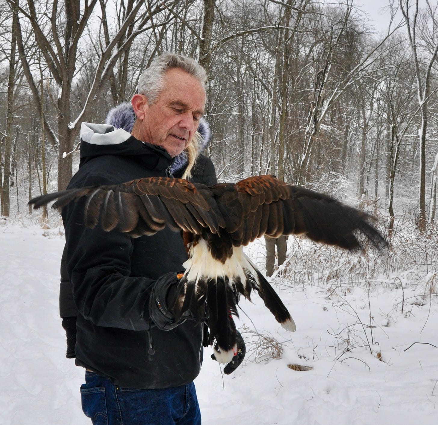 Spend a Day with Robert F. Kennedy, Jr. and Learn the Art of Falconry ...