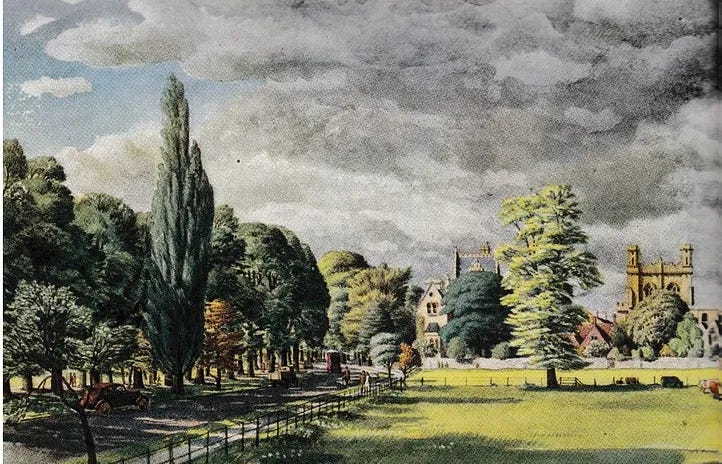 A reimagined Christ Church Meadow in Oxford