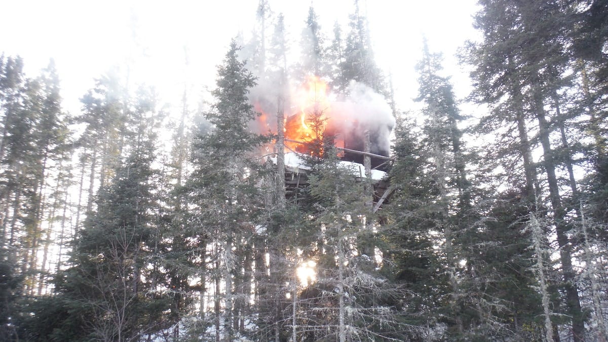 Une cabane brûle dans un arbre.