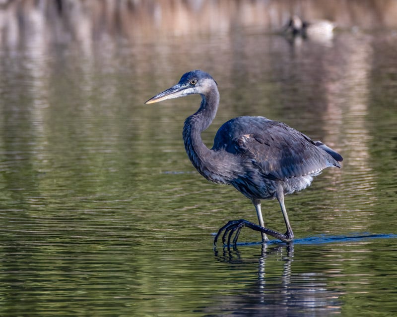 20241105-ElRio-178-Edit.jpg