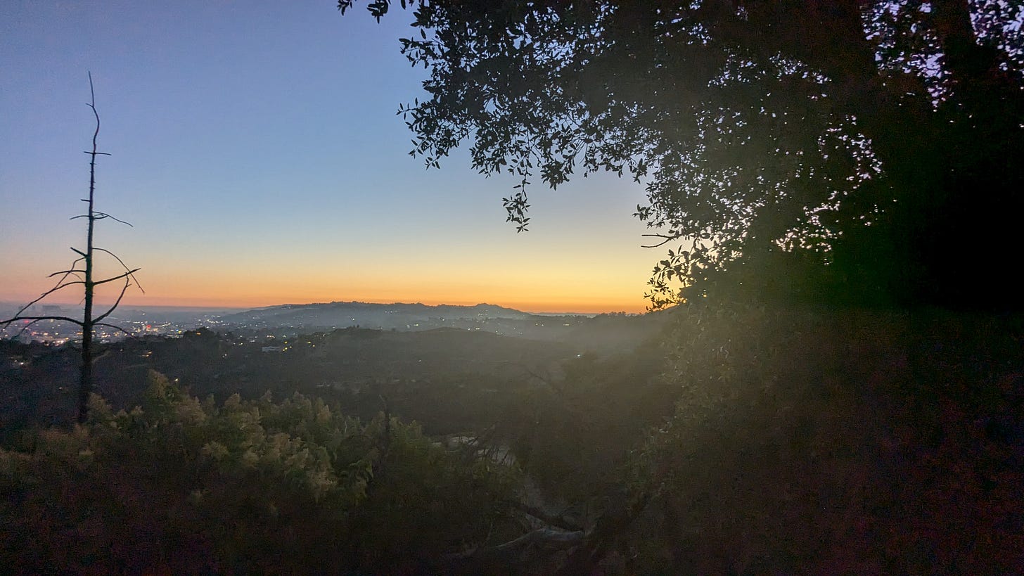 the sun sets over sloping hillside covered in shrubs