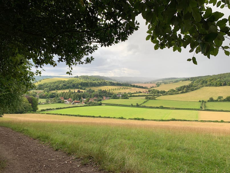 Photo by Author — Sometimes, in retirement, you need to stop and admire the view