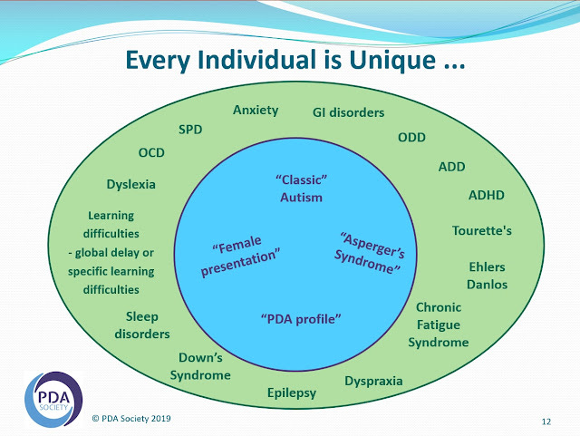 Circles diagram showing autism conditions in the middle circle and related, co-morbid, non-autistic conditions in outer circle