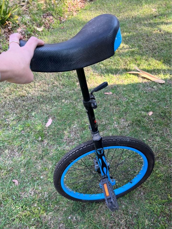 Product photo of Please take this unicycle