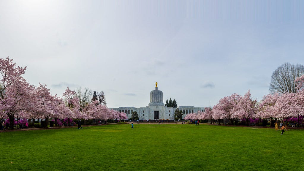 Oregon State Capitol State Park Cherry Blossom Viewing [IMG_6092-Pano-HDR]