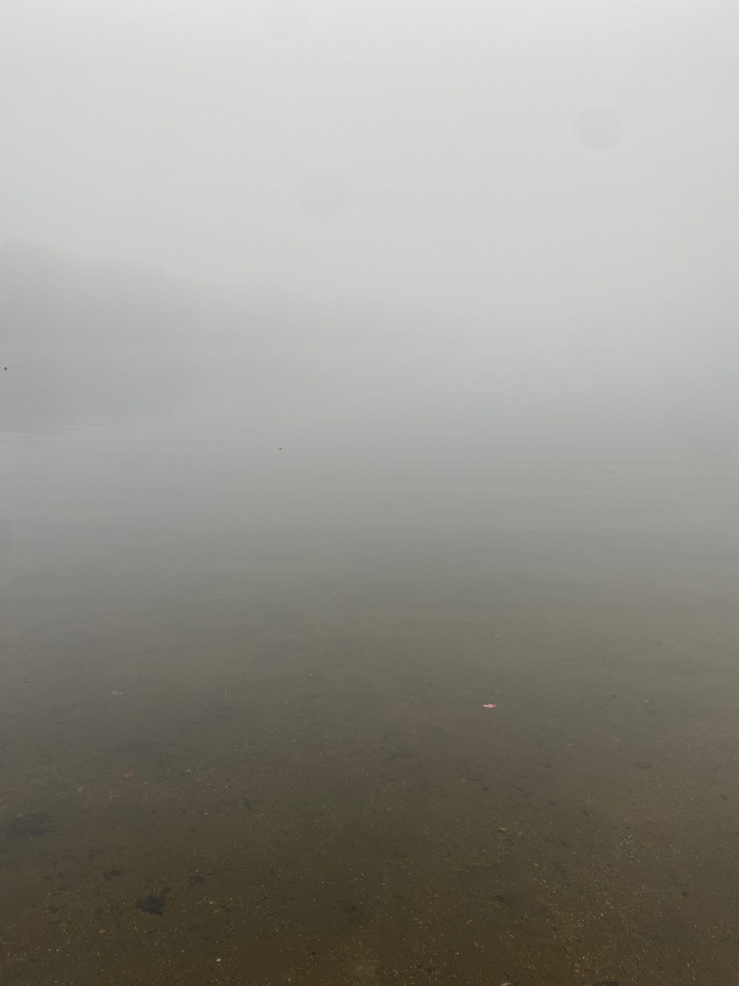 Ashfield Lake in the fog; the water is basically invisible in the mist.