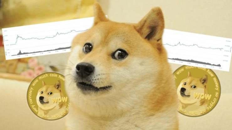 Dogecoin had another great week - here's why