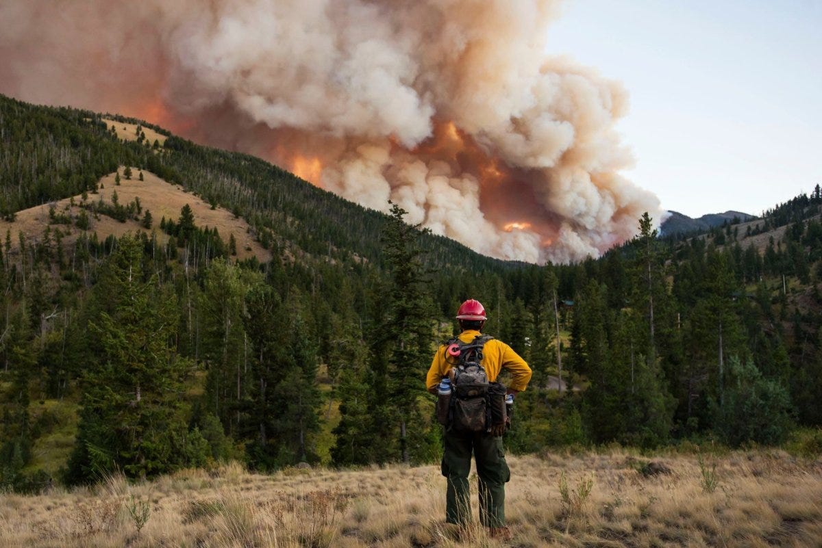 Wyoming Wildfires