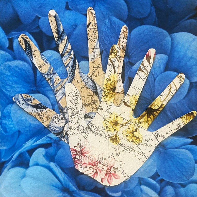 Collage image created by Helen Sword of blue hydrangea background with two hands, palm-up,  in an antique floral design showing lifelines.